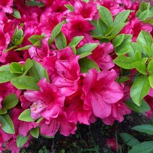 Meet your Posher, Jerilyn